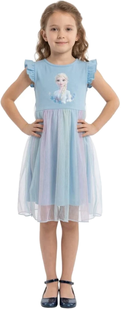Elsa Frozen Wonderland Dress - Blue